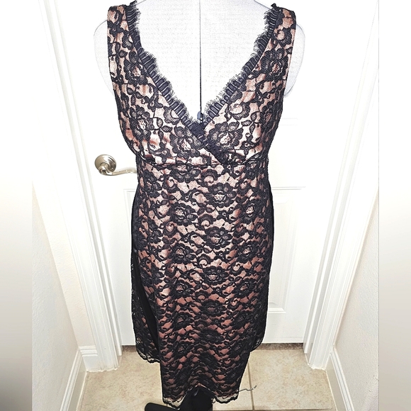 Classy Eliza J New York Black Lace & Nude Champagne Elegant Lady Cocktail Dress - Picture 11 of 15